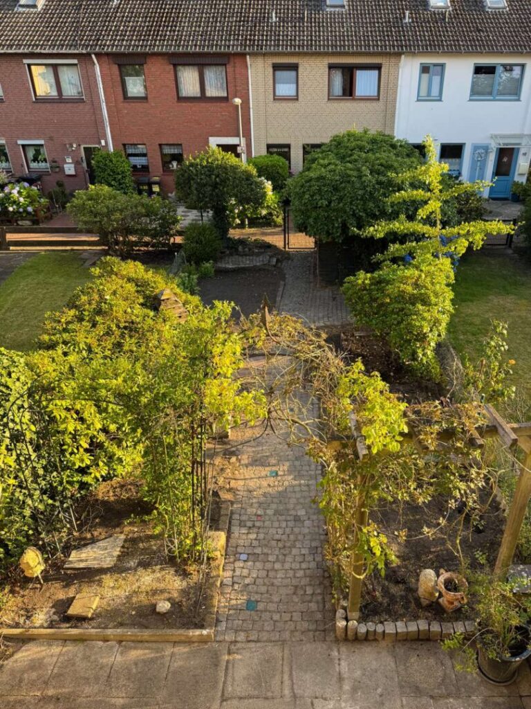 Garten 3